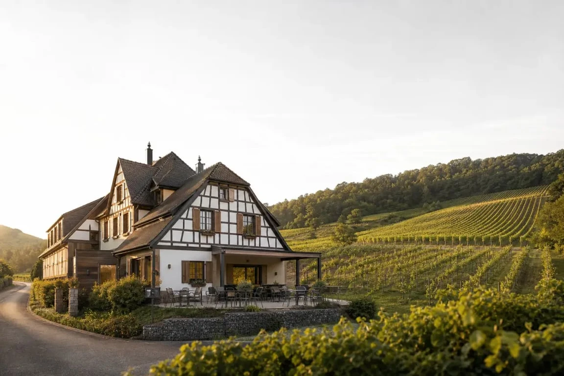 hôtel restaurant vallée noble soultzmatt alsace dans un décor de vignes