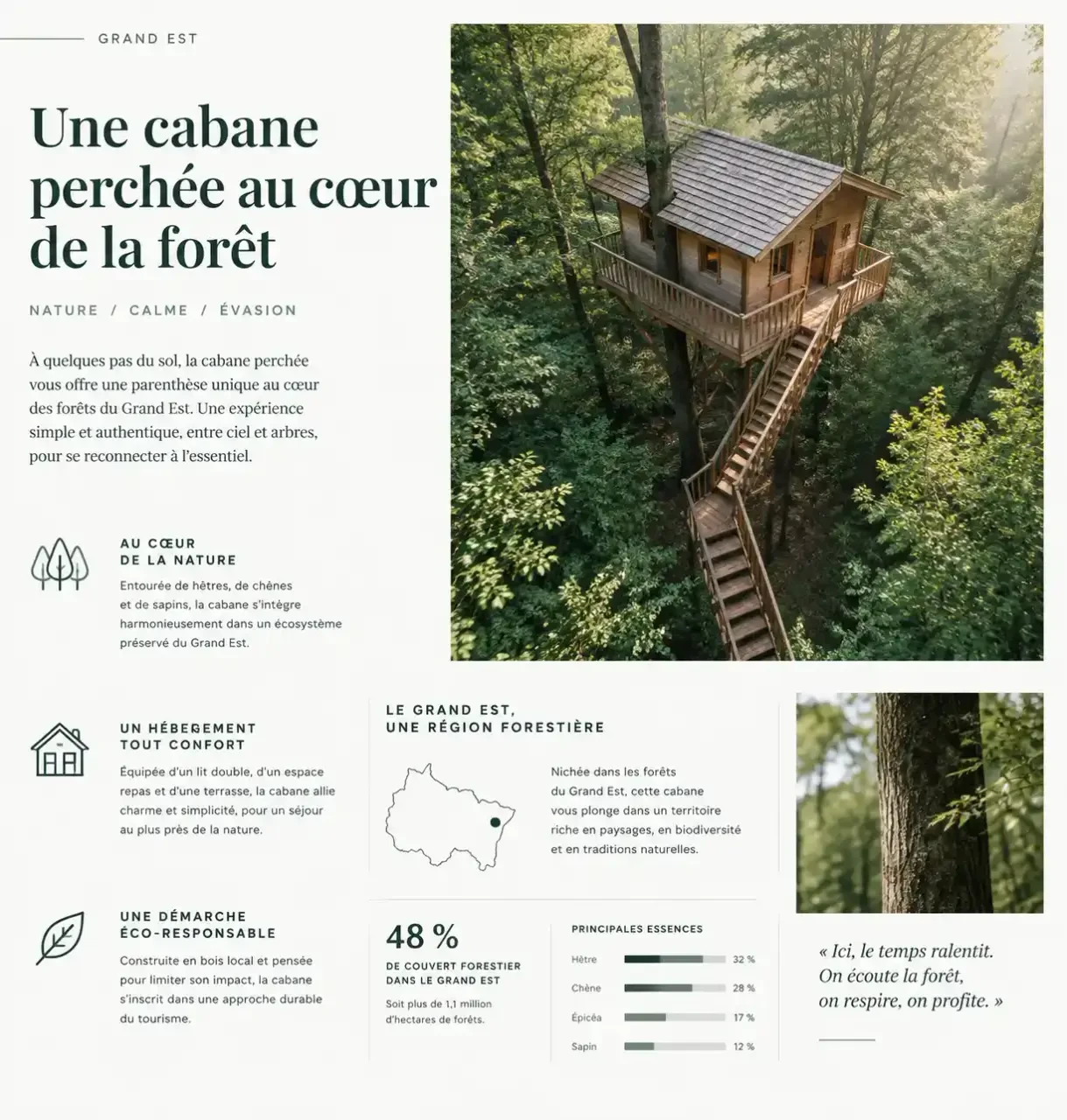 Hébergement insolite dans le Grand Est : cabane perchée en bois au cœur d'une forêt